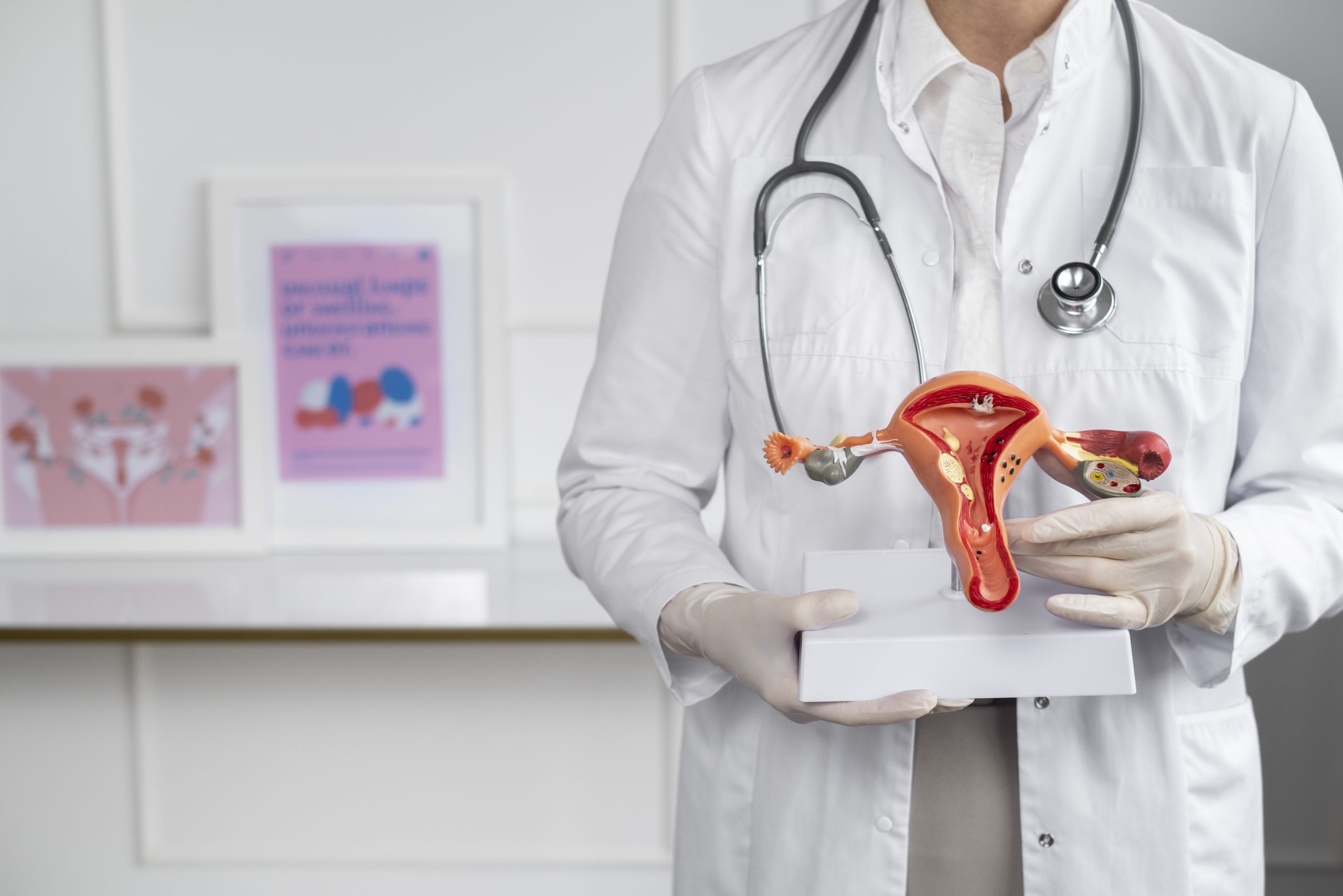 doctor-de-vista-frontal-con-modelo-anatomico
